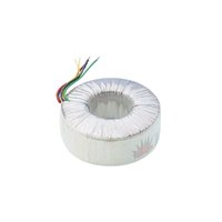 Ringkernetransformatorer