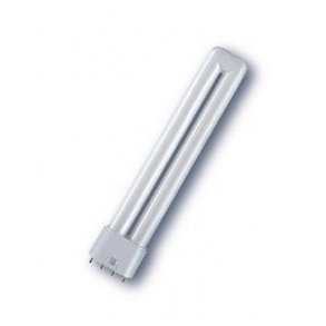 PL-RR 4P 2G11 55W/830