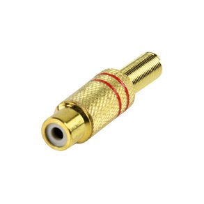 PHONOFORLNGER m.RD  RING GULD 6mm