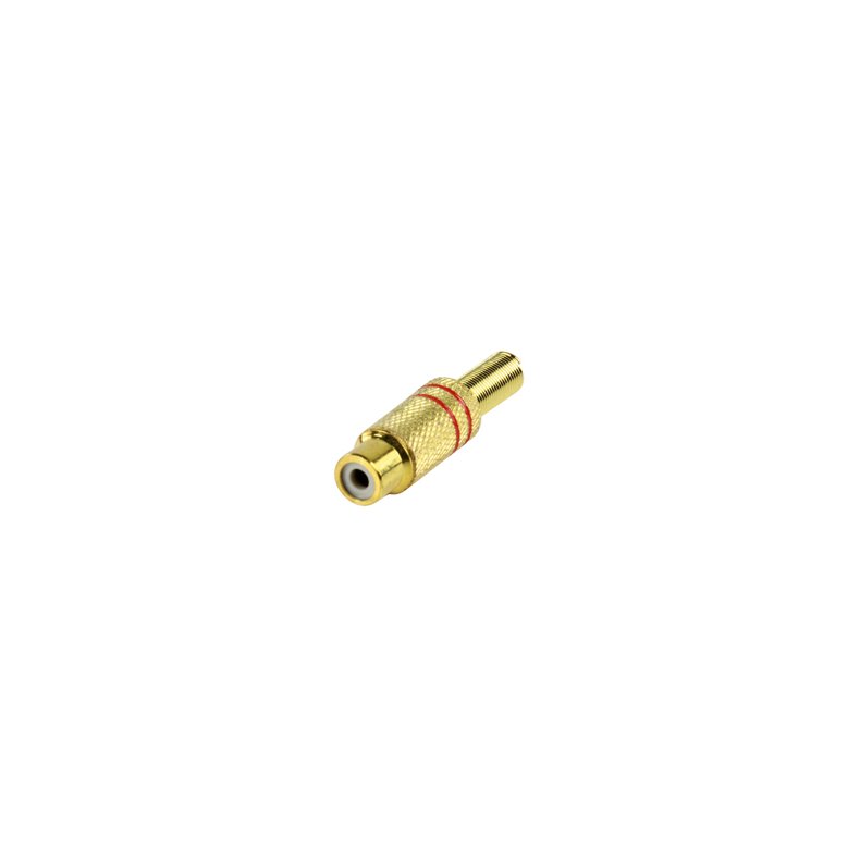 PHONOFORLNGER m.RD  RING GULD 6mm