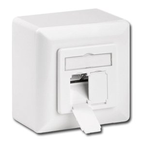 DOBBELT VGUDTAG SKRMET CAT-6