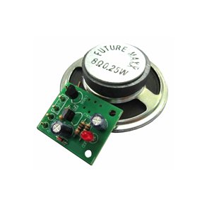 ITS A SMALL WORLD SANG  (BYGGEST)