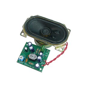 LF FORSTRKER 2W MONO  (BYGGEST)