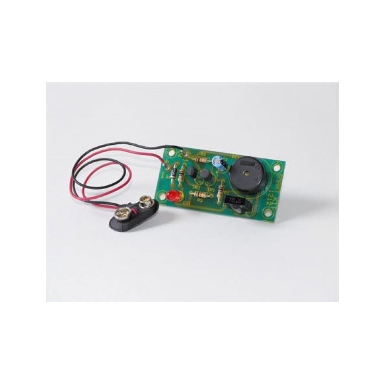Infrard detector  (BYGGEST)